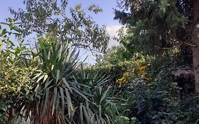 Gemütliche zentrumsnahe Ferienwohnungen mit Gemeinschaftsgarten
